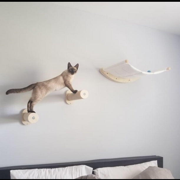 Cat Climber & Bed | Solid Wood Design | Wall-Mounted, Durable & Stylish