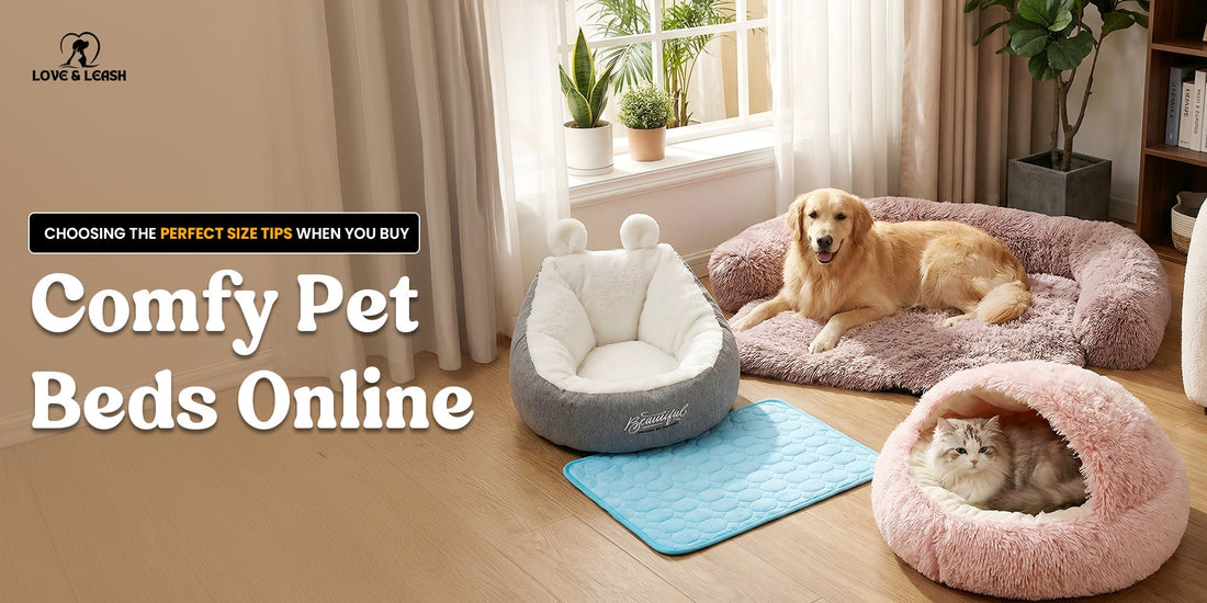 Choosing the Perfect Size Tips When You Buy Comfy Pet Beds Online