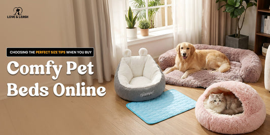 Choosing the Perfect Size Tips When You Buy Comfy Pet Beds Online