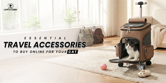 Essential Travel Accessories to Buy Online for Your Cat