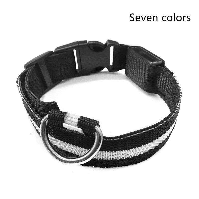 Dog Luminous Collar