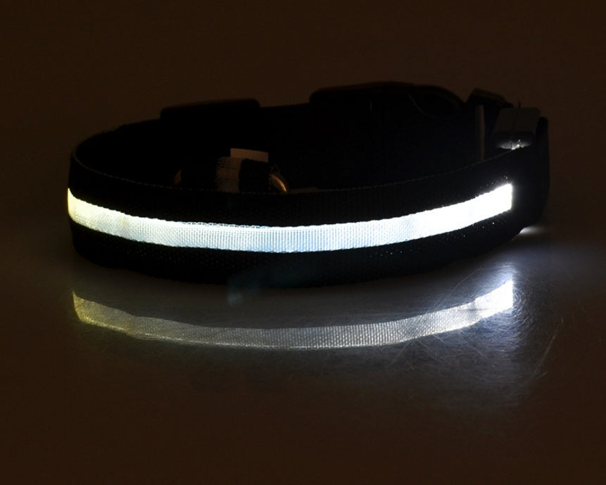 Dog Luminous Collar