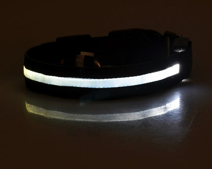 Dog Luminous Collar