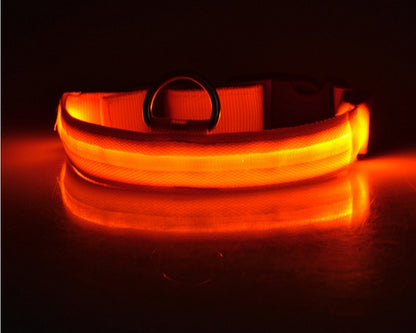 Dog Luminous Collar