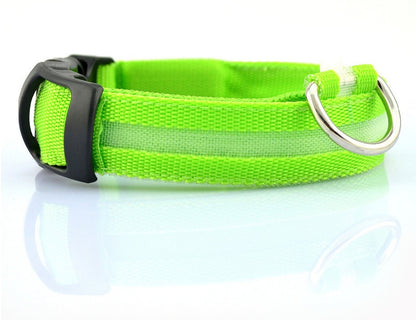 Dog Luminous Collar