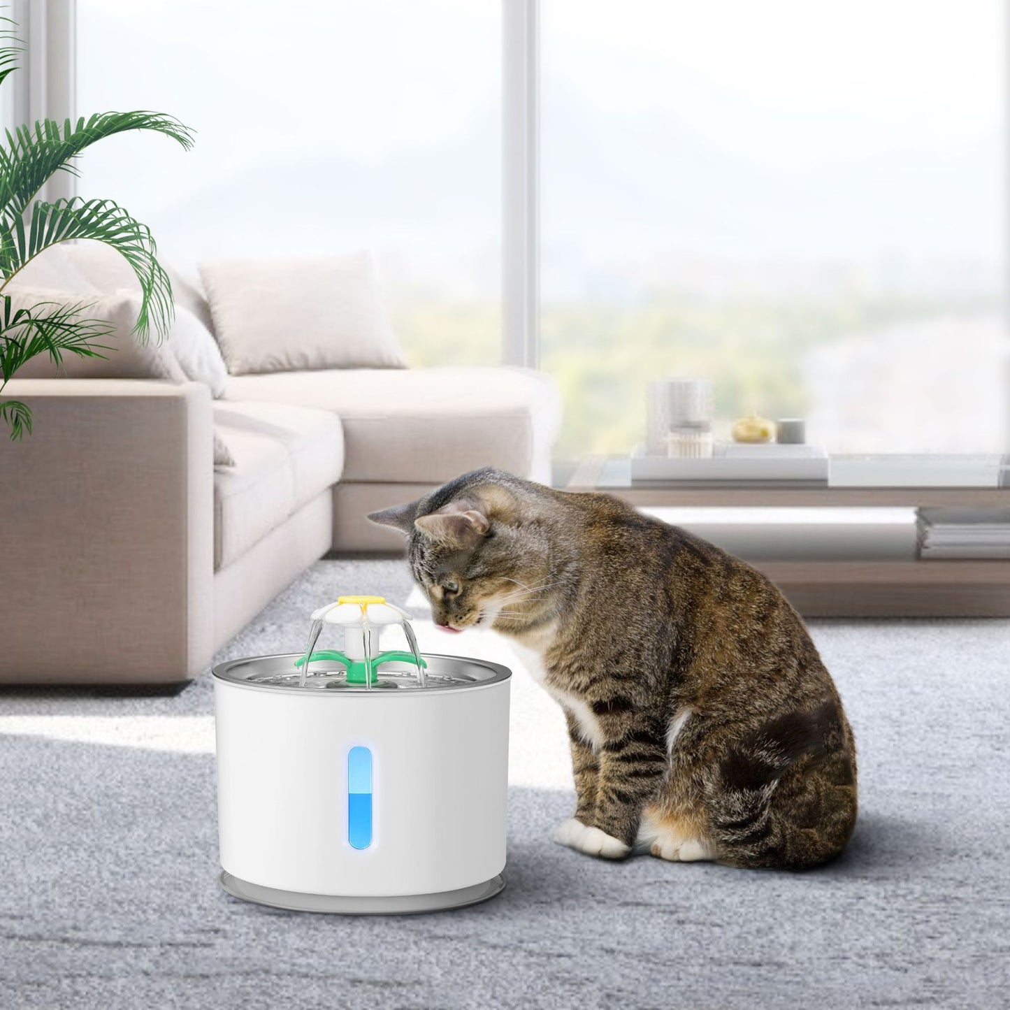 Pet Water Fountain | USB Automatic Design | Drinking Dispenser, 2.4L