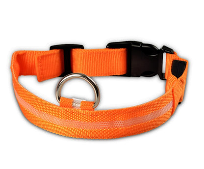 Dog Luminous Collar