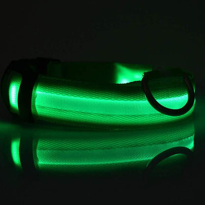 Dog Luminous Collar