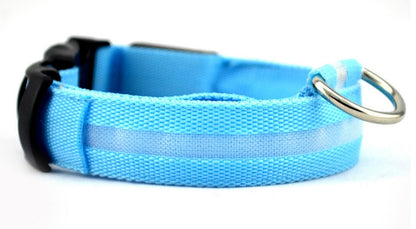 Dog Luminous Collar