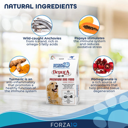 Forza10 Active Depura Fish Dog Food | Dry Diet Recipe | Boosts Immunity & Overall Wellness