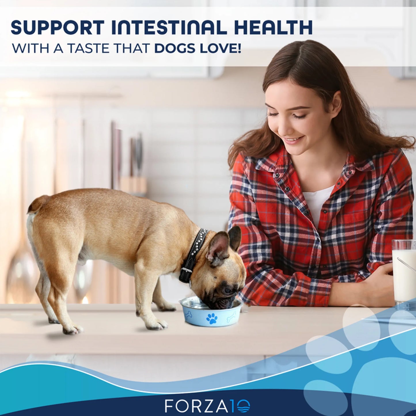 Forza10 Active Intestinal Support Dog Food | Dry Diet Recipe | Soothes Upset Stomach & Improves Digestion