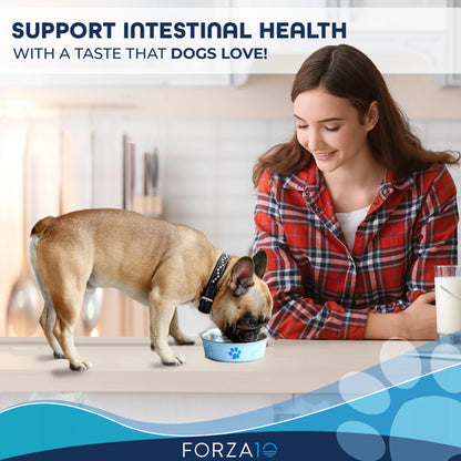 Forza10 Active Intestinal Support Dog Food | Dry Diet Recipe | Soothes Upset Stomach & Improves Digestion