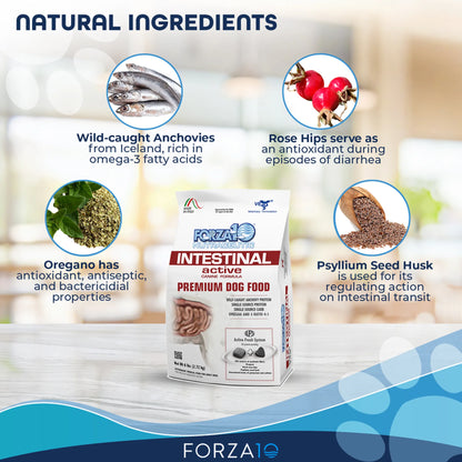 Forza10 Active Intestinal Support Dog Food | Dry Diet Recipe | Soothes Upset Stomach & Improves Digestion