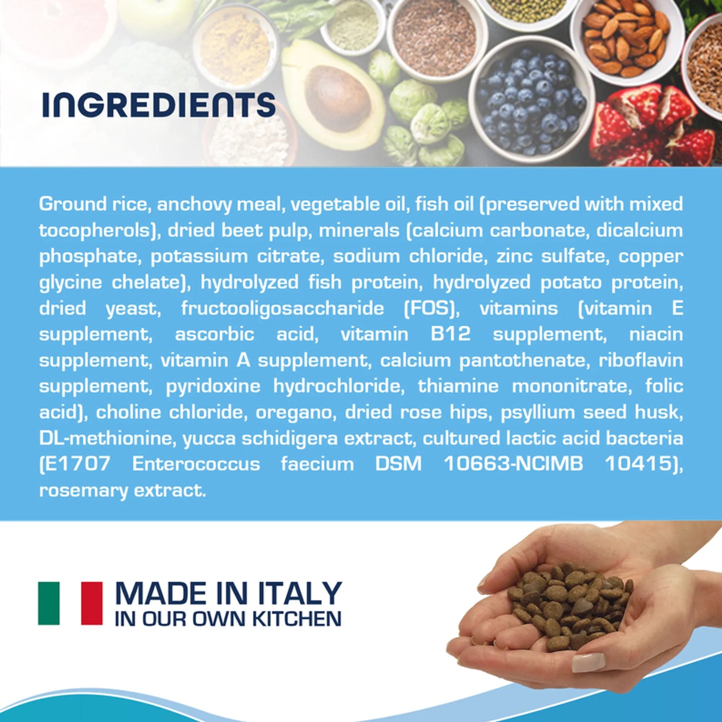 Forza10 Active Intestinal Support Dog Food | Dry Diet Recipe | Soothes Upset Stomach & Improves Digestion