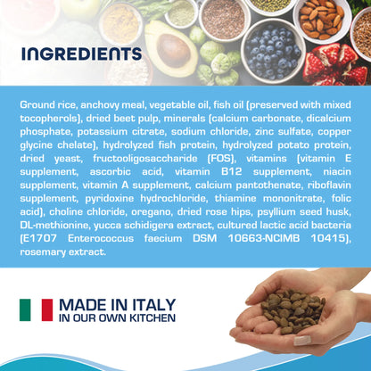 Forza10 Active Intestinal Support Dog Food | Dry Diet Recipe | Soothes Upset Stomach & Improves Digestion