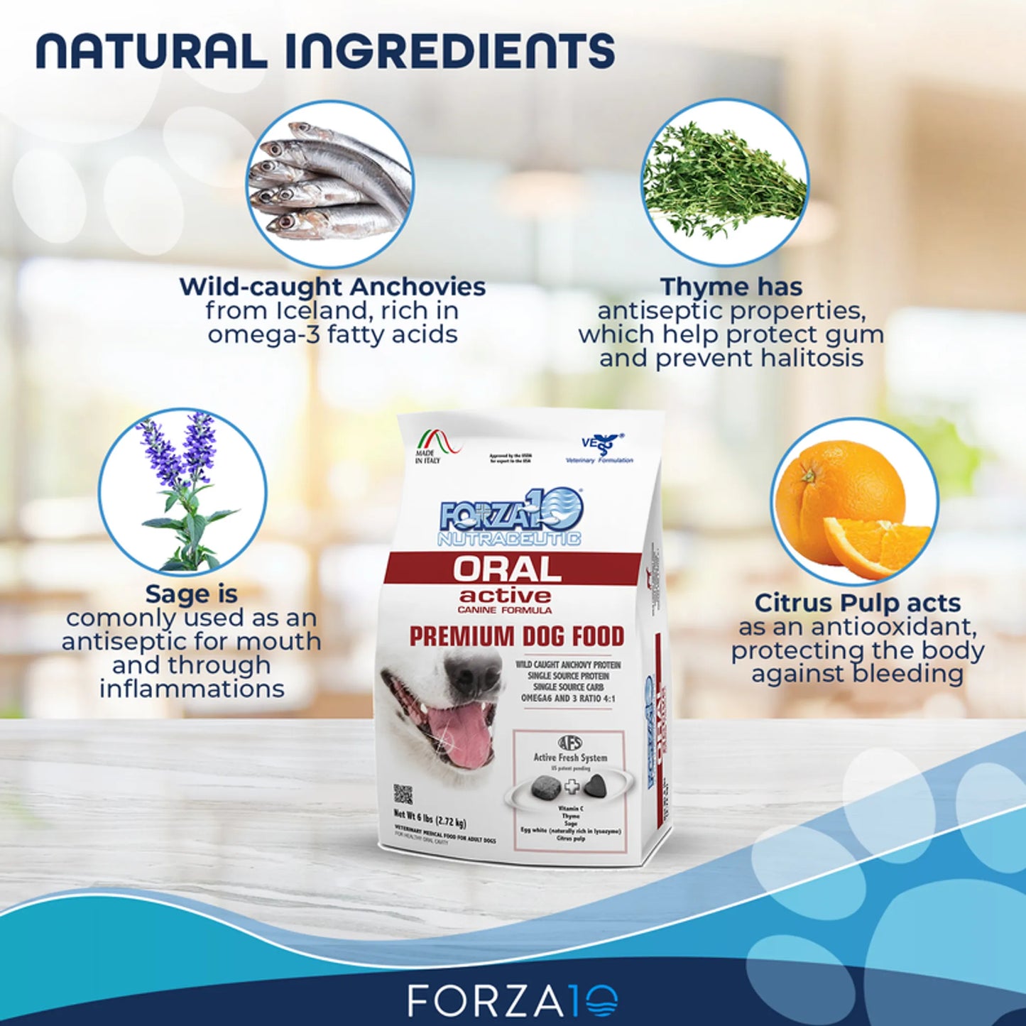 Forza10 Active Oral Support Dog Food | Dry Diet Recipe | Fights Bad Breath & Tartar