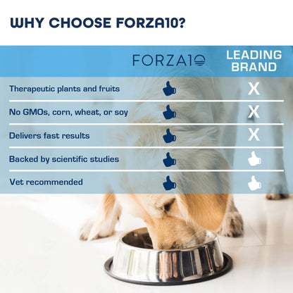 Forza10 Legend Skin Dog Food | Grain-Free Dry Recipe | Supports Skin & Coat Health