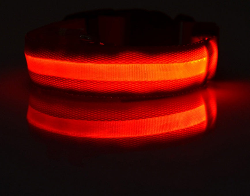 Dog Luminous Collar