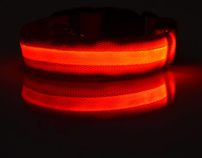 Dog Luminous Collar