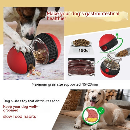 Dog Food Toy | Plastic Design | Interactive & Puzzle Feeding Toy