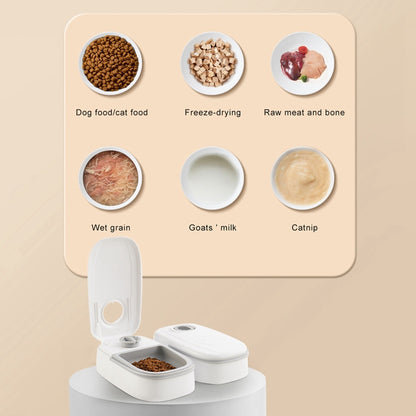 Pet Food and Water Dispenser | 2-in-1 Automatic Design | Easy Feed & Hydration