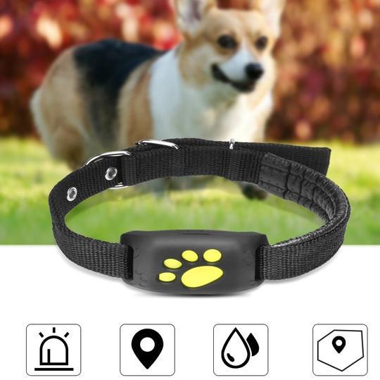 Pet GPS Tracker | ABS & PVC Design | Real-Time Location Tracking, 65.5×37×18.3mm