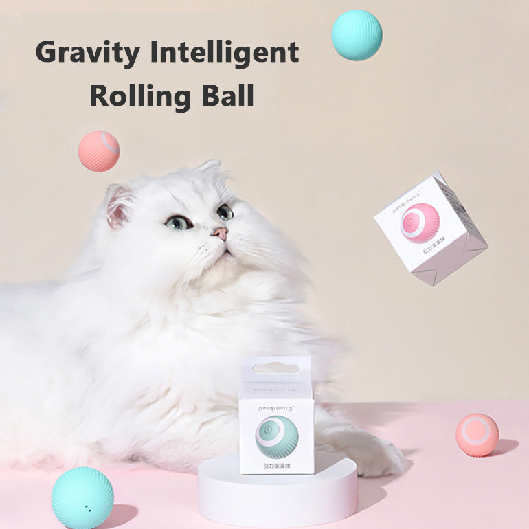 Cat Rolling Ball Toy | Plastic Design | Interactive AI & Smart Play, 43mm