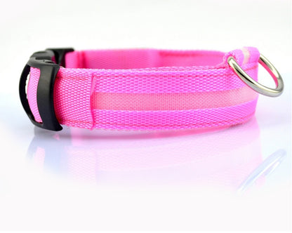 Dog Luminous Collar