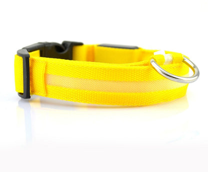 Dog Luminous Collar