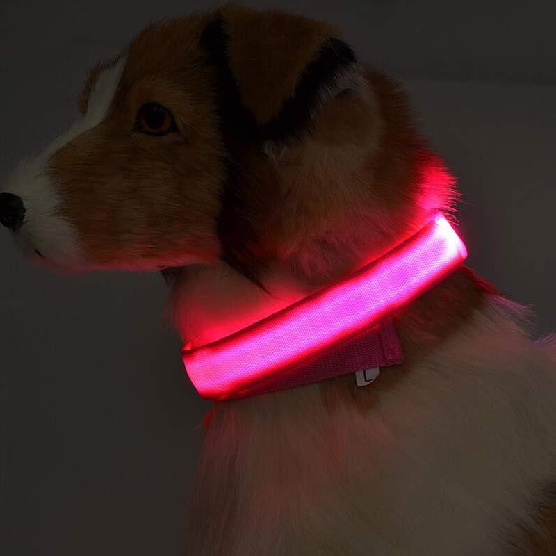 Dog Luminous Collar