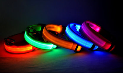 Dog Luminous Collar