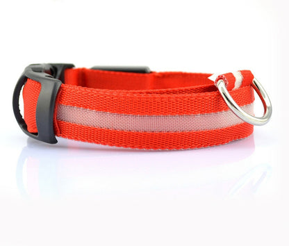 Dog Luminous Collar