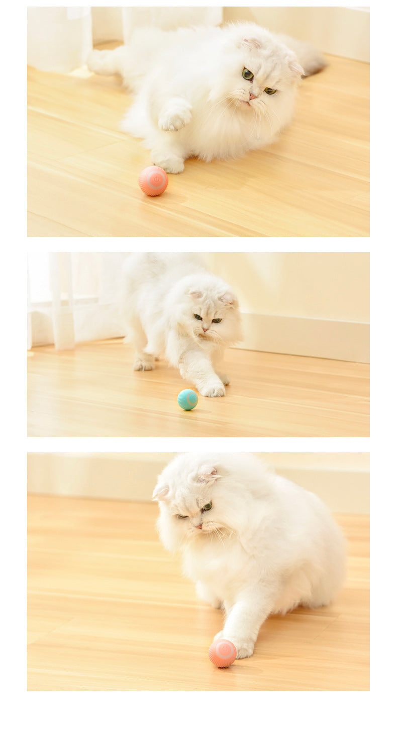 Cat Rolling Ball Toy | Plastic Design | Interactive AI & Smart Play, 43mm