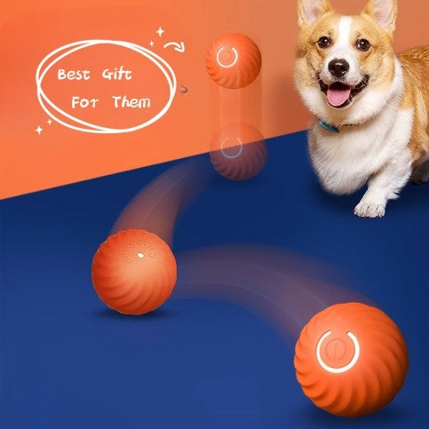 Dog Chew Toy | Rubber & Plastic Design | Interactive & Durable Play Toy