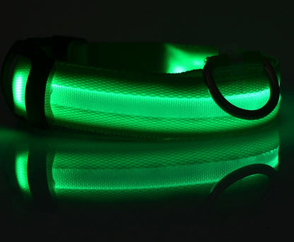Dog Luminous Collar
