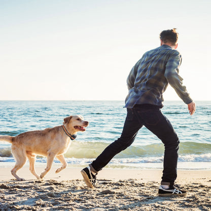 Dog GPS Tracker | ABS & PU Design | Wireless Portable Fence & Accurate Location, 59cm