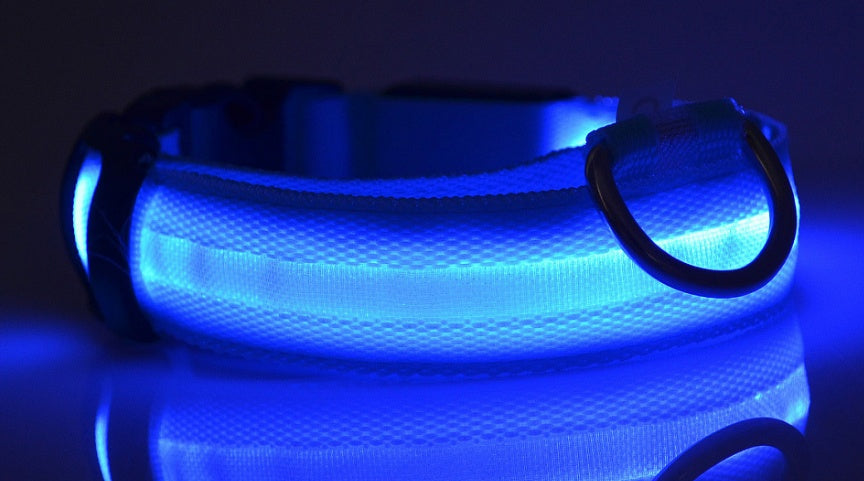 Dog Luminous Collar