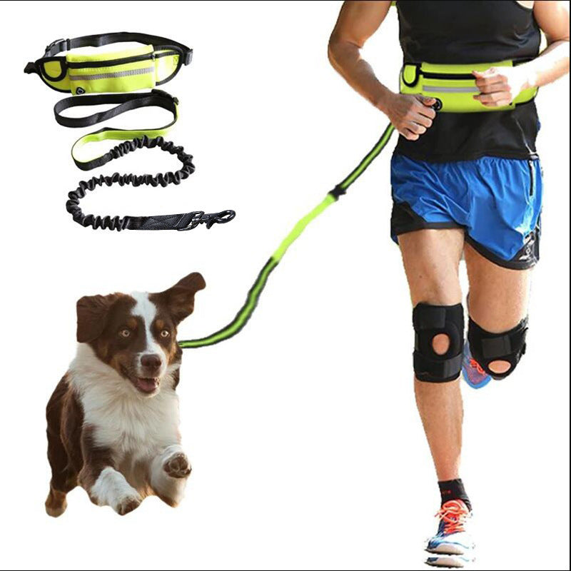 Hands-Free Dog Leash | Neoprene & Mesh Design | Adjustable Reflective Walking, 39”–53.5”