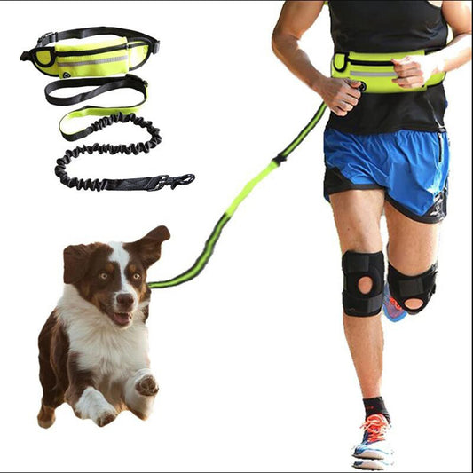 Hands-Free Dog Leash | Neoprene & Mesh Design | Adjustable Reflective Walking, 39”–53.5”