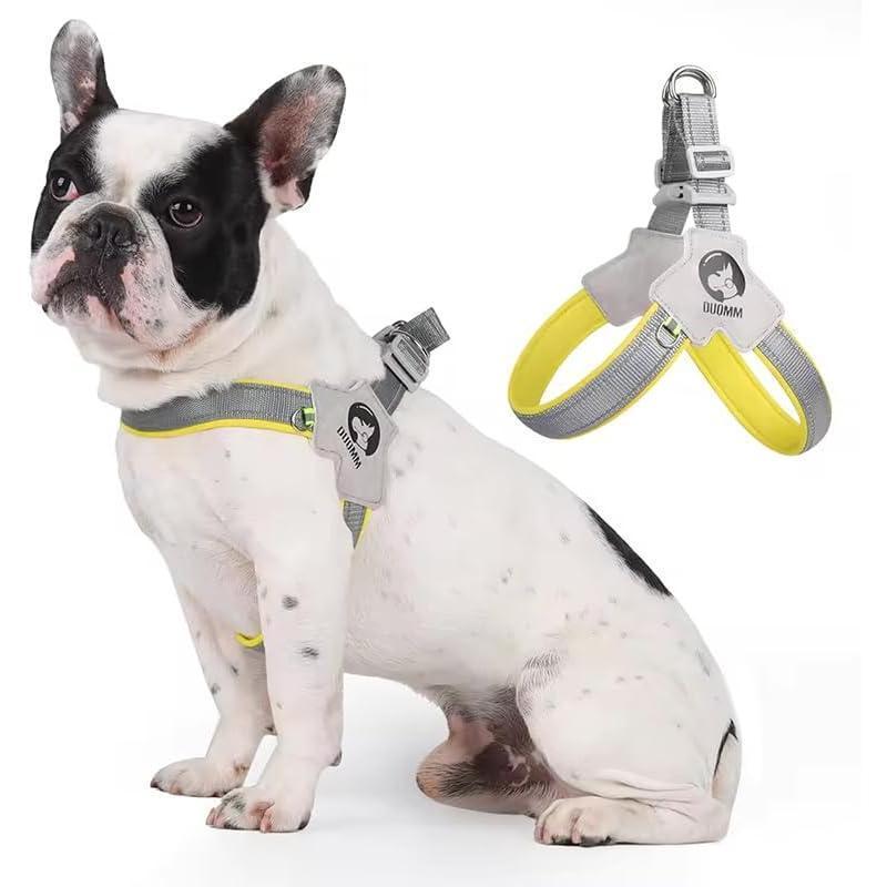 Pet Harness | Breathable Mesh & Soft Sponge Design | Adjustable & Secure Fit for Dogs & Cats, S - L