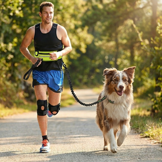 Hands-Free Dog Leash | Neoprene & Mesh Design | Adjustable Reflective Walking, 39”–53.5”