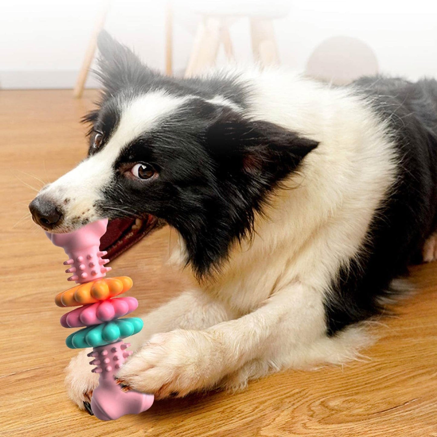 Dog Chew Bone Toy | Thermoplastic Rubber Design | Durable & Interactive, 5×13cm